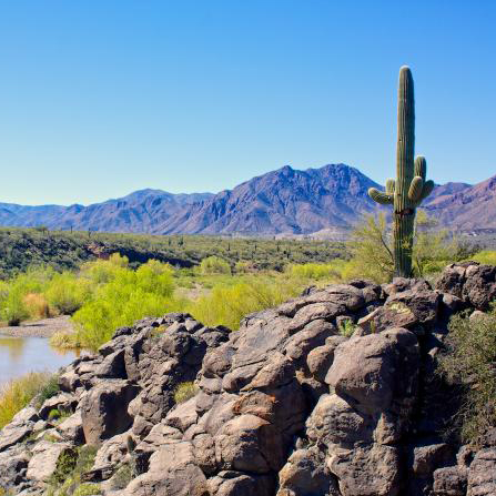 View of the Arizona landscape