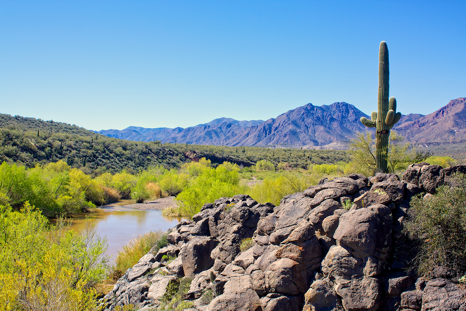 The arid Arizona desert