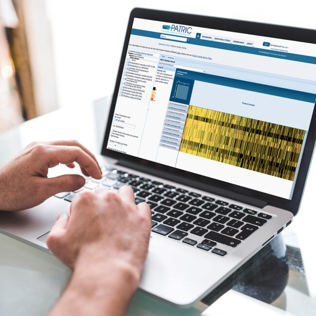 Hands typing at a laptop with research data on the screen