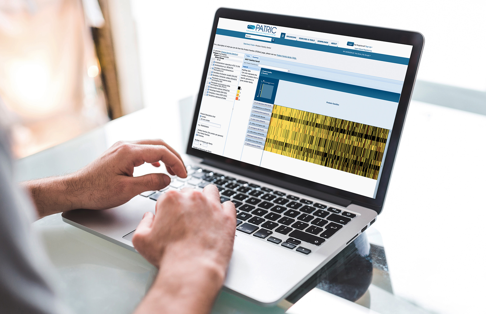 Hands typing at a laptop with research data on the screen