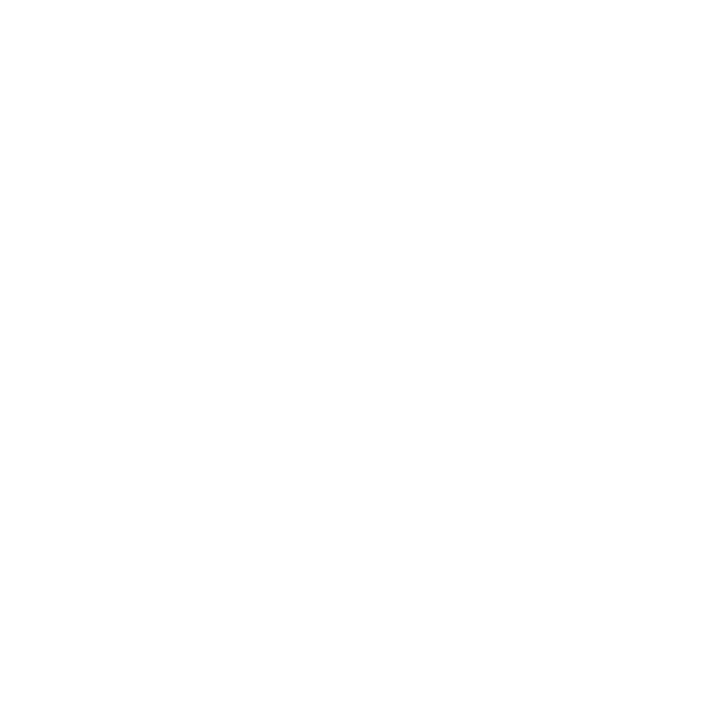 NewCIty logo