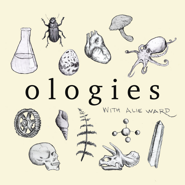 Ologies podcast illustration