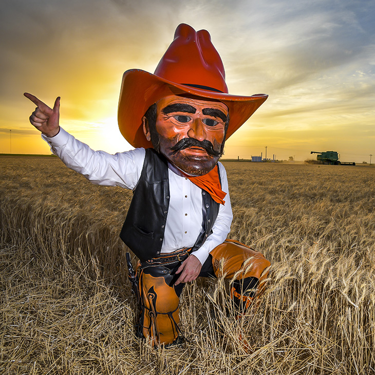 Pistol Pete the official mascot of Oklahoma State University showing support for Oklahoma Agriculture by watching the Wheat Harvest underway. The Osborn Family is bringing in the 2018 crop near Tuttle Ok.